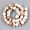 Natural Freshwater Shell Beads Strands SHEL-T020-17-2