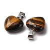 Natural Tiger Eye Pendants G-I311-A07-2