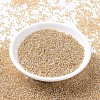 MIYUKI Round Rocailles Beads SEED-X0054-RR1003-2