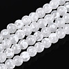 Baking Paint Glass Beads Strands DGLA-N015-4mm-01-1