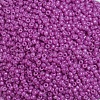 Baking Paint Glass Seed Beads SEED-S001-K21-3