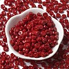 Opaque Colours Glass Seed Beads X-SEED-E001-P3x6mm-13-2