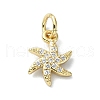 Brass Micro Pave Clear Cubic Zirconia Charms KK-H475-59G-10-1