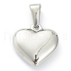 304 Stainless Steel Pendants STAS-P278-01F-P-2