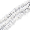 Natural Howlite Beads Strands G-K337-06-1