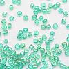 6/0 Round Glass Seed Beads SEED-J011-F6-178-3