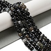 Dyed & Heated Natural Fire Crackle Agate Beads Strands G-P539-B01-10-2