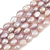 Natural Cultured Freshwater Pearl Beads Strands PEAR-P064-20J-05D-2