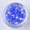 6/0 Glass Seed Beads SEED-S027-06B-06-2