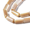 Natural Trochid Shell/Trochus Shell Beads Strands SSHEL-S266-020B-04-3