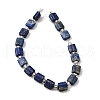 Natural Lapis Lazuli Beads Strands G-Z087-D01-3