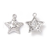 Alloy Pendants FIND-I020-02P-1