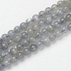Natural Labradorite Beads Strands G-F362-08-5mm-1