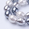 Shell Pearl Beads Strands BSHE-P030-03C-3