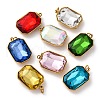 316 Stainless Steel Faceted Glass Pendants STAS-K258-48G-1