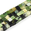 Natural Serpentine Beads Strands G-T140-36B-4