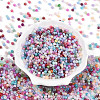 Baking Paint Glass Seed Beads SEED-N007-02J-2