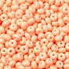 Baking Paint Glass Seed Beads SEED-B001-02A-16-3