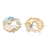 Rack Plating Alloy Enamel Pendants ENAM-N056-372KCG-02-2