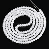 Baking Paint Glass Beads Strands DGLA-N015-4mm-01-2