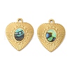 304 Stainless Steel Natural Paua Shell Pendants STAS-L288-06G-01-1