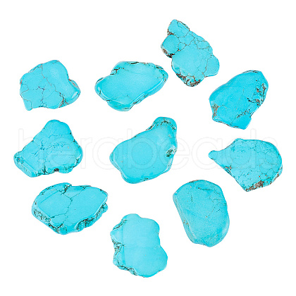Olycraft 10Pcs Natural Howlite Beads TURQ-OC0001-05-1