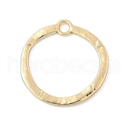Alloy Pendants PALLOY-F316-01A-G-1