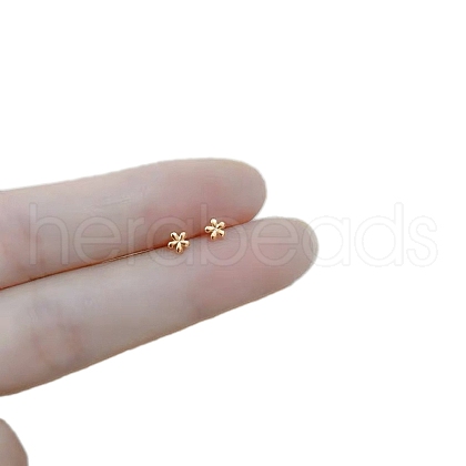 Alloy Earrings for Women FS-WG98937-36-1