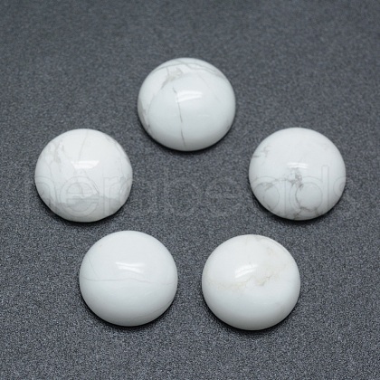 Natural Howlite Cabochons G-P393-R32-6MM-1