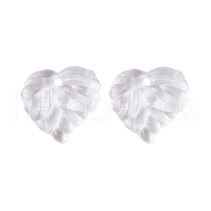 Transparent Acrylic Charms TACR-G050-03A-1