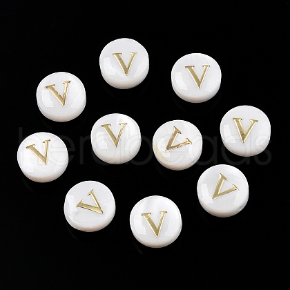 Natural Freshwater Shell Beads SHEL-N036-01V-1