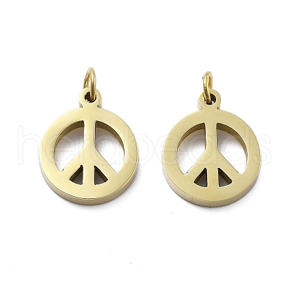 304 Stainless Steel Pendants STAS-D302-02G-1