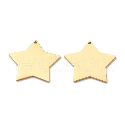 304 Stainless Steel Pendant STAS-Y006-37A-G-1