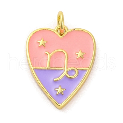 Brass Enamel Pendants KK-Z077-01G-10-1