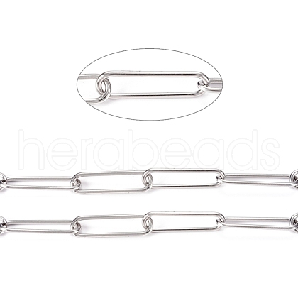 Tarnish Resistant 304 Stainless Steel Paperclip Chains CHS-L022-02C-1