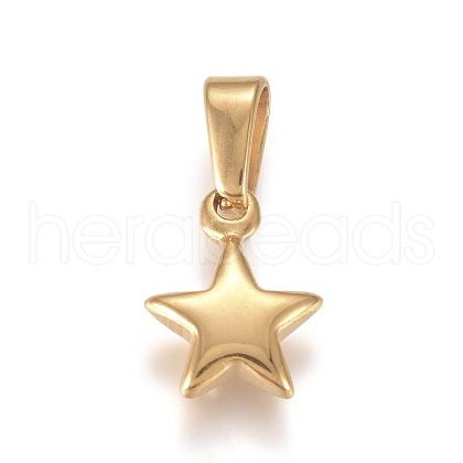 304 Stainless Steel Charms STAS-I127-067G-01-1