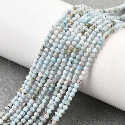 Natural Larimar Beads Strands G-G259-D13-2mm-1