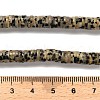 Natural Dalmatian Jasper Beads Strands G-G175-N26-01-5