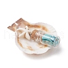 7Pcs 7 Styles Natural Scallop Shell & Dyed Synthetic Turquoise Starfish Pendants PALLOY-JF03564-02-4