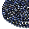 Natural Sodalite Beads Strands G-P573-B17-01-3