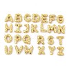 Brass Pendants KK-I355-26G-1