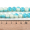 Transparent Baking Painted Glass Beads Strands DGLA-N009-10mm-05-5
