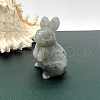 Natural Labradorite Carved Healing Rabbit Figurines PW-WG98684-02-1