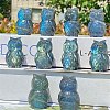 Natural Labradorite Carved Healing Owl Figurines PW-WG54127-01-1