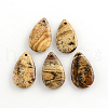 Picture Jasper Gemstone Pendants G-R270-11-1