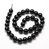 Natural Black Onyx Beads Strands G-D840-22-10mm-2