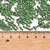 TOHO Round Seed Beads SEED-XCP0001-26-4