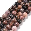 Natural Rhodonite Beads Strands G-E571-19C-1