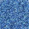 Transparent Inside Colours Glass Seed Beads X1-SEED-A032-04D-3