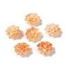 Synthetic Shell Dyed Beads SHEL-C006-01-2
